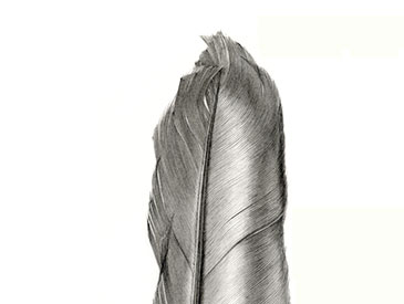 Feather